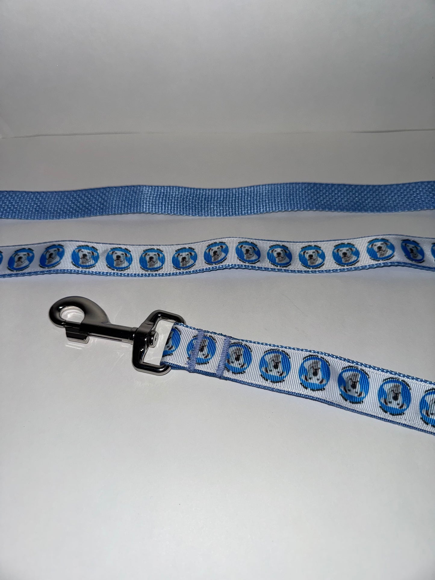 Dog Leashes