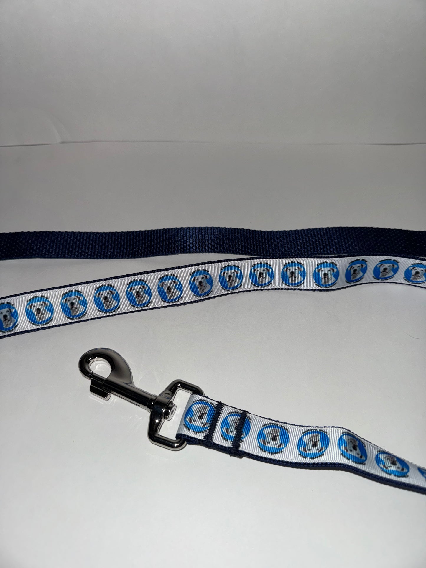 Dog Leashes