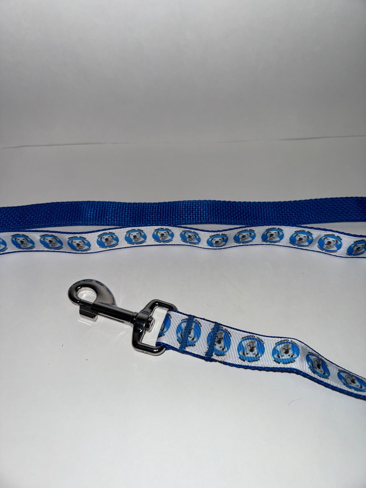 Dog Leashes